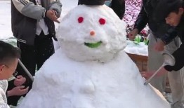 石家庄爆料雪人视频,冬日奇观之谜