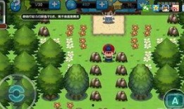 口袋森林在线观看,沉浸式探险之旅，在线解锁神秘自然奇观